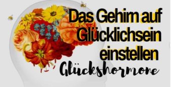 Glückshormone